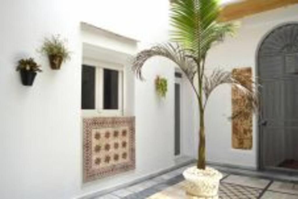 Apartamento Veedor 19 Dias Y Muchas Noches Cadiz Exterior photo